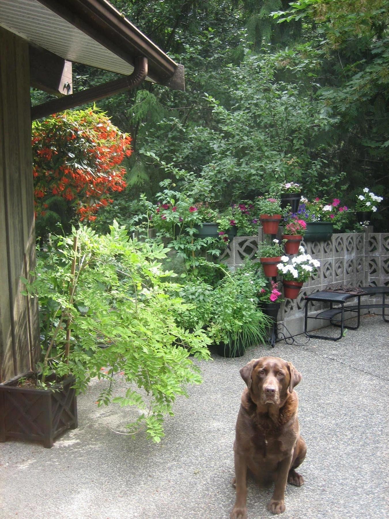 Misty Meadows B&B Langford Exterior photo