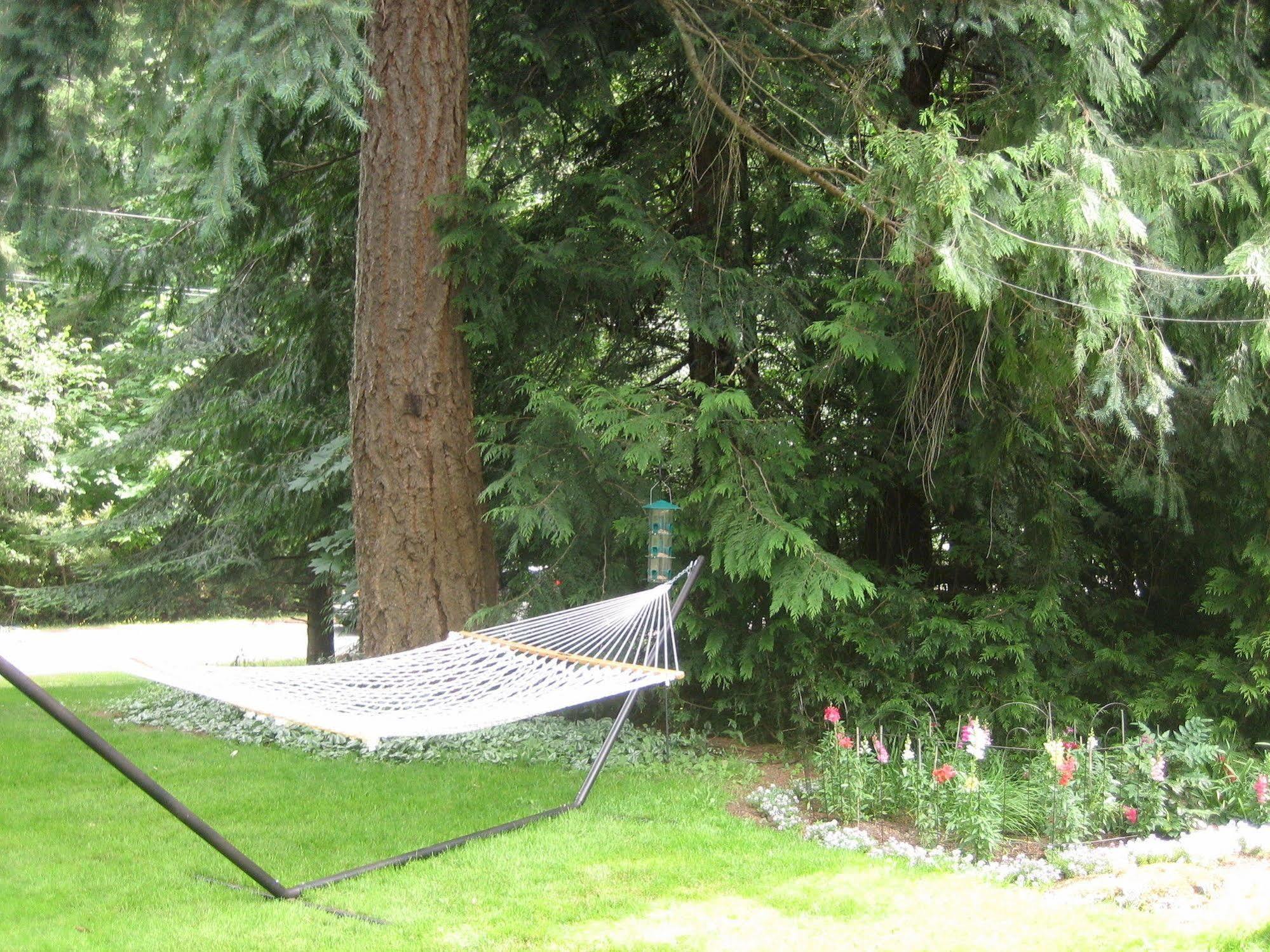 Misty Meadows B&B Langford Exterior photo