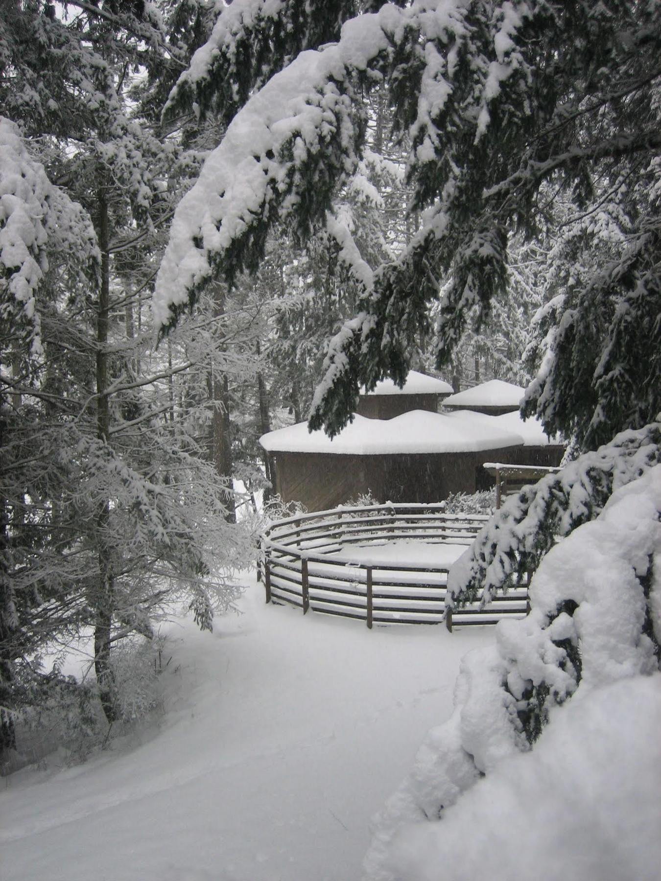 Misty Meadows B&B Langford Exterior photo